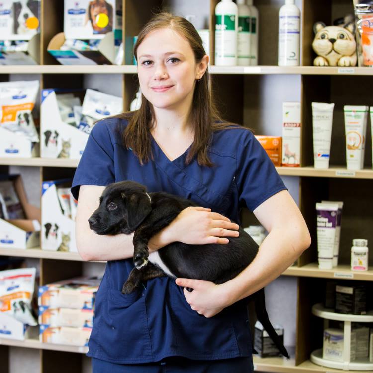 Pet Nutrition Vet in Salem The Pet Clinic