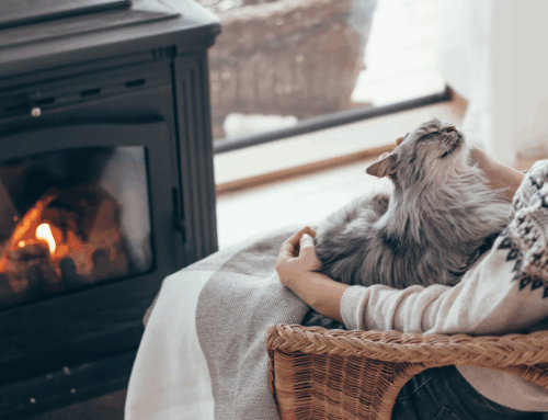 Cold-Weather Joint Care